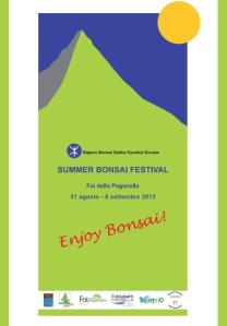 Summer Bonsai Festival